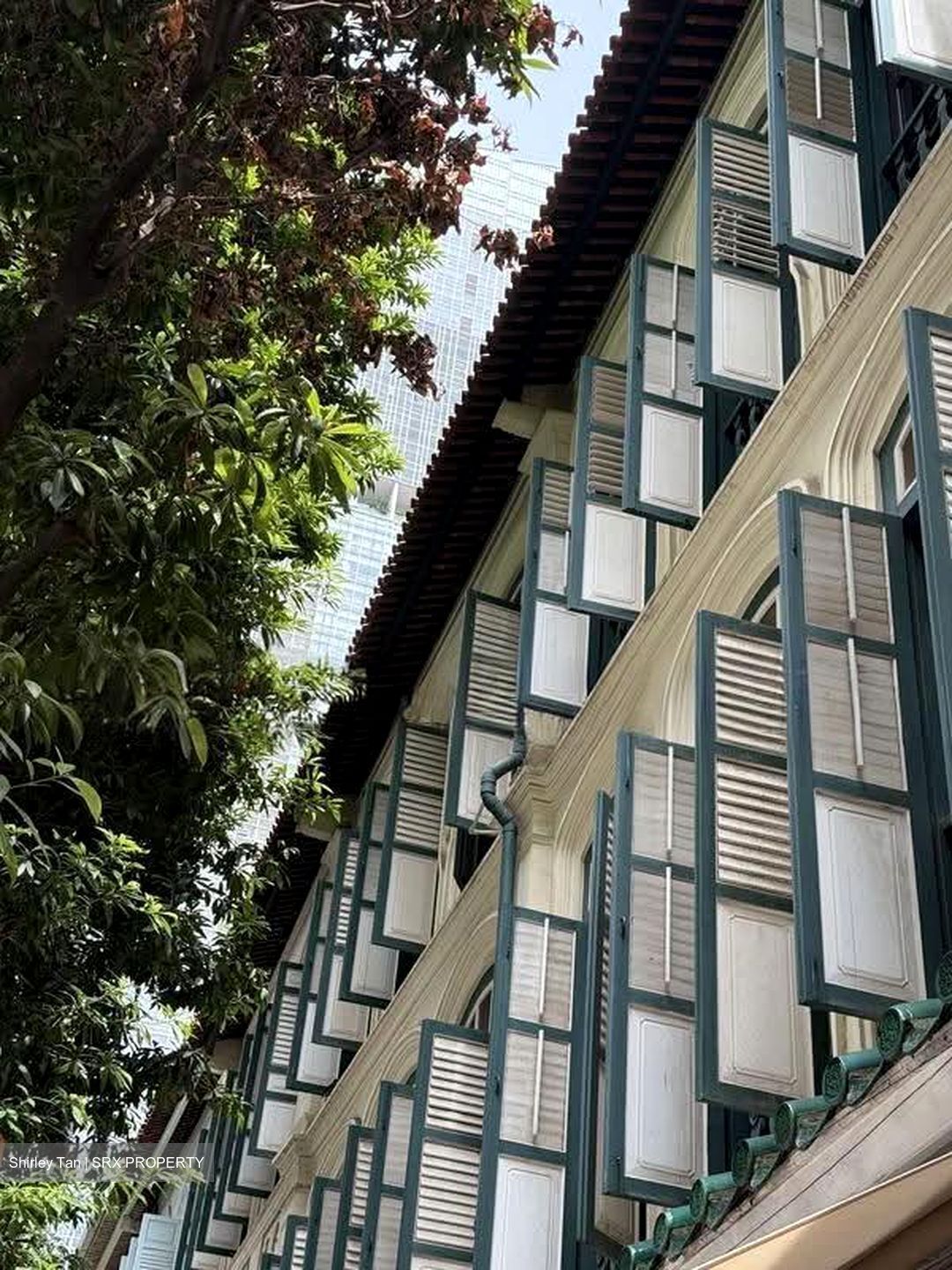 Telok Ayer Street (D1), Shop House #619460631